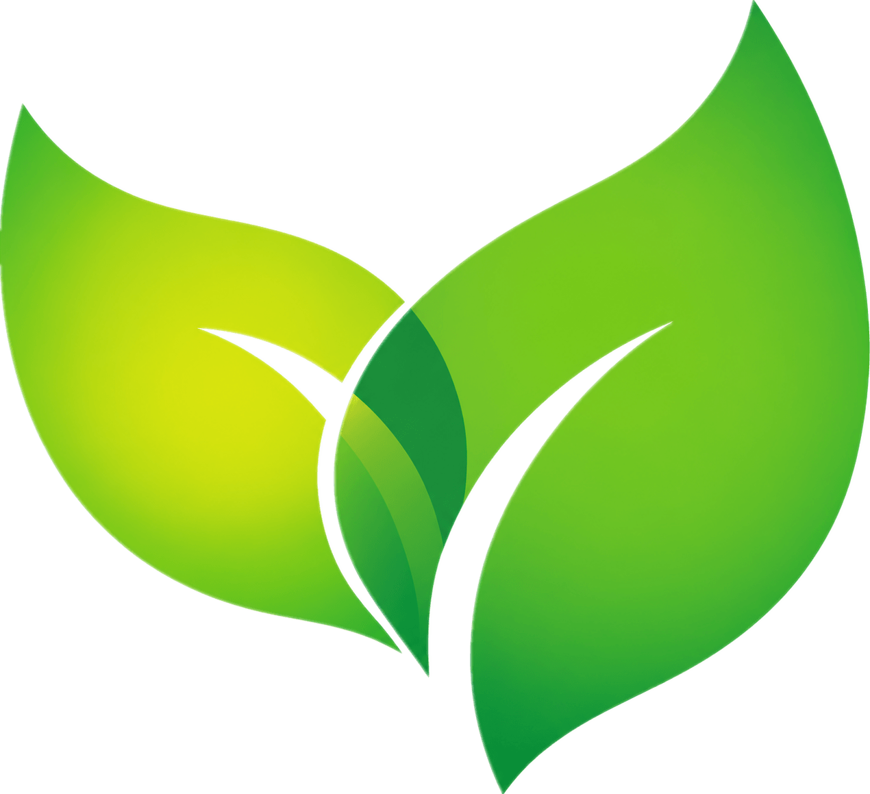 Xian Yuhui Biotechnology